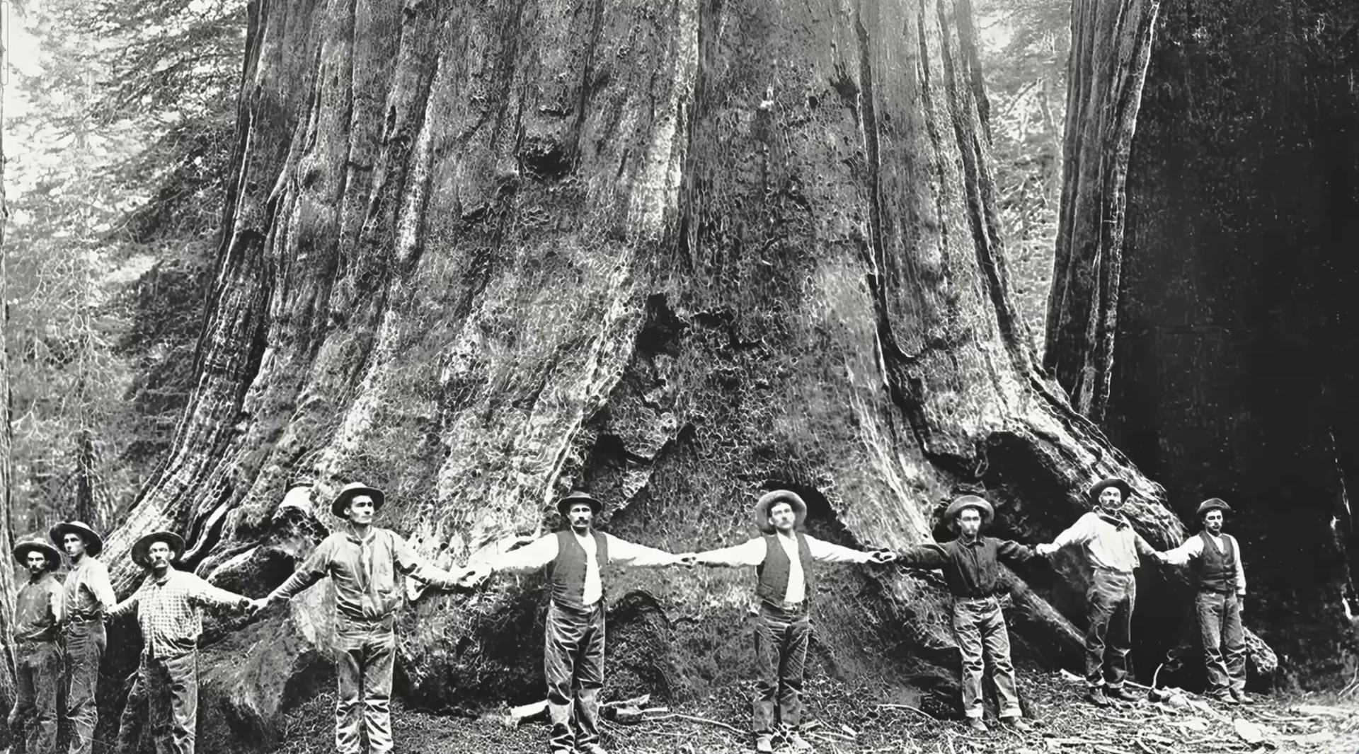 Screenshot_20260413-145606~2