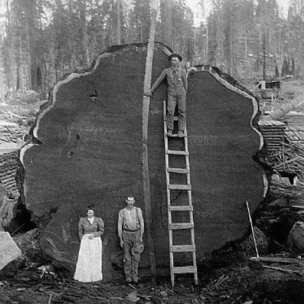 Screenshot_20260413-145642~2