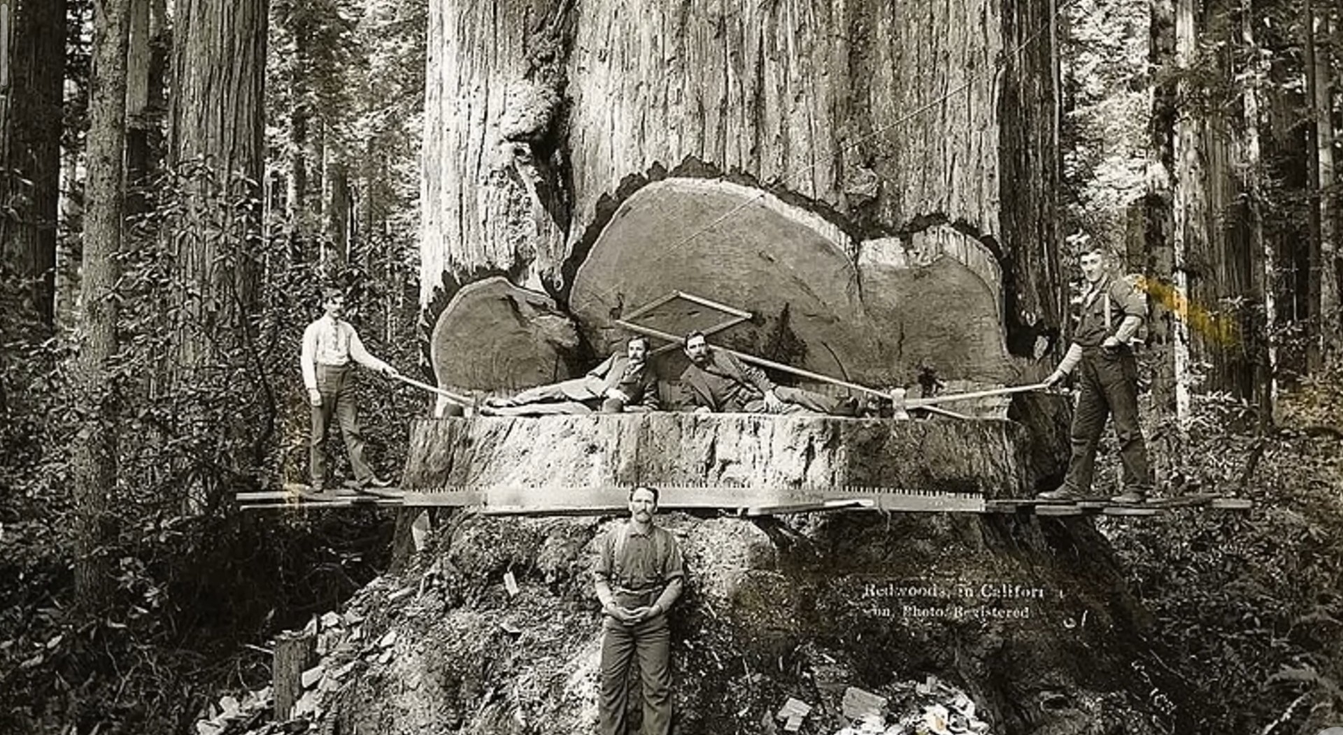 Screenshot_20260413-145713~2