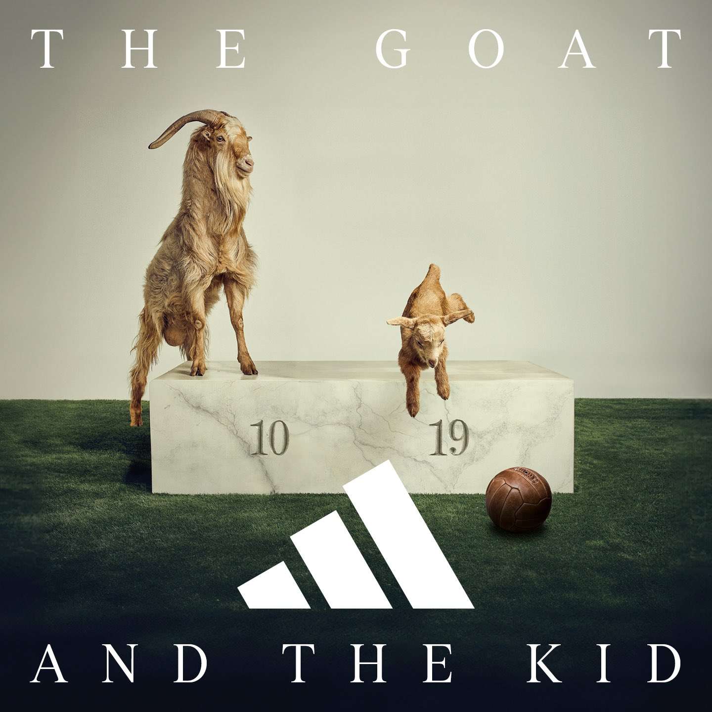 the-goat-and-the-kid-adidas